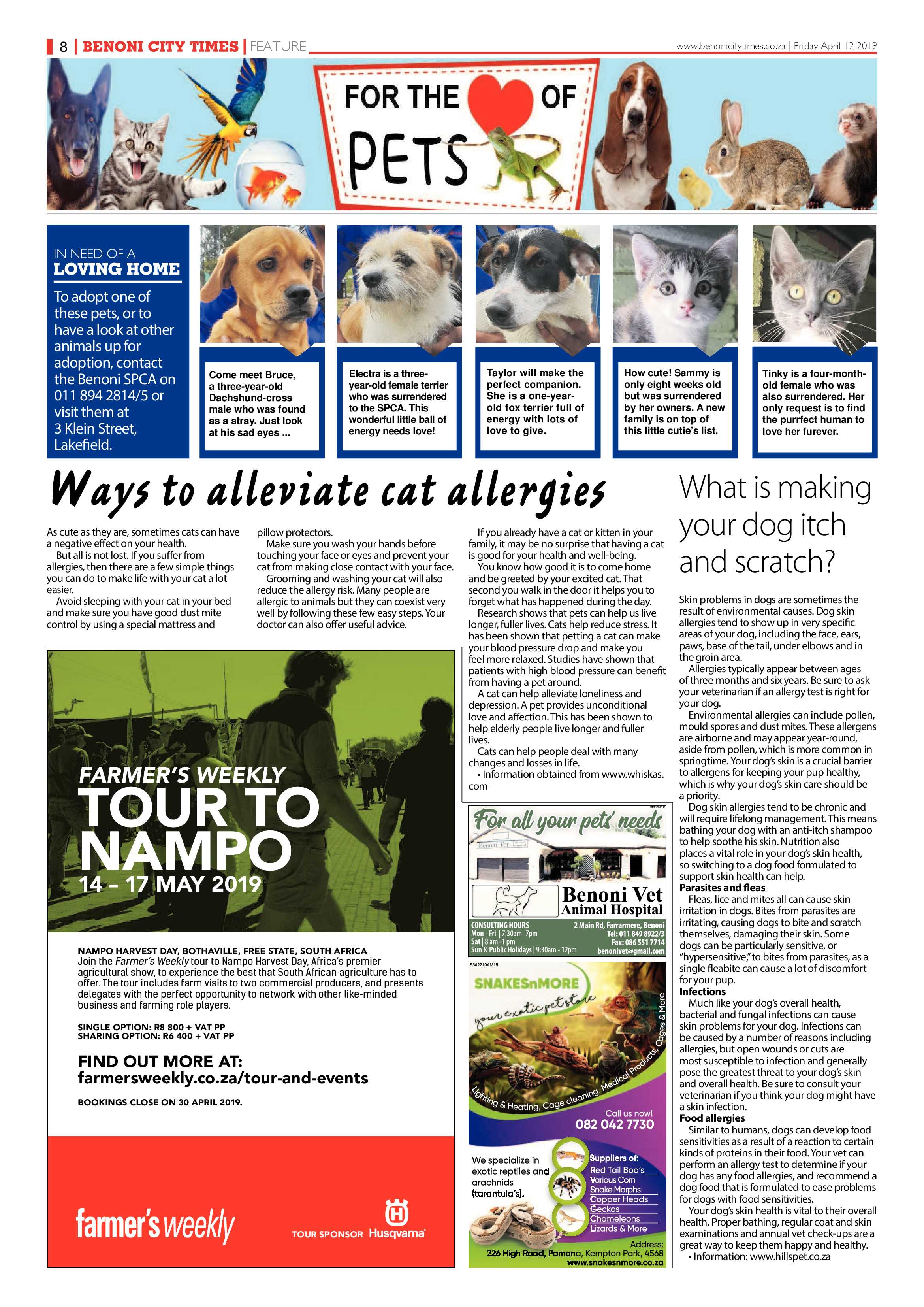 Benoni City Times 11 April 2019 page 8