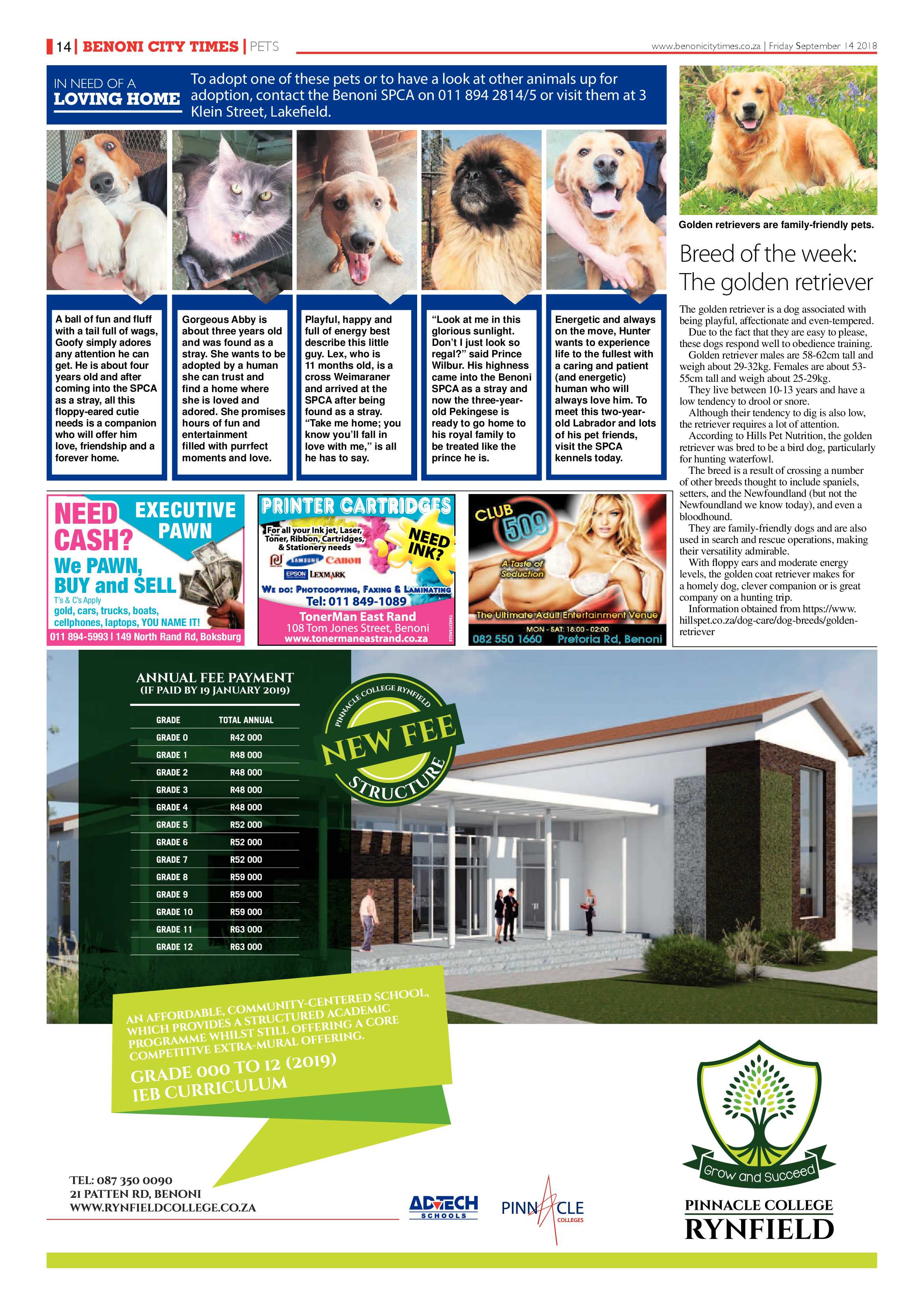 Benoni City Times 13 September 2018 page 14