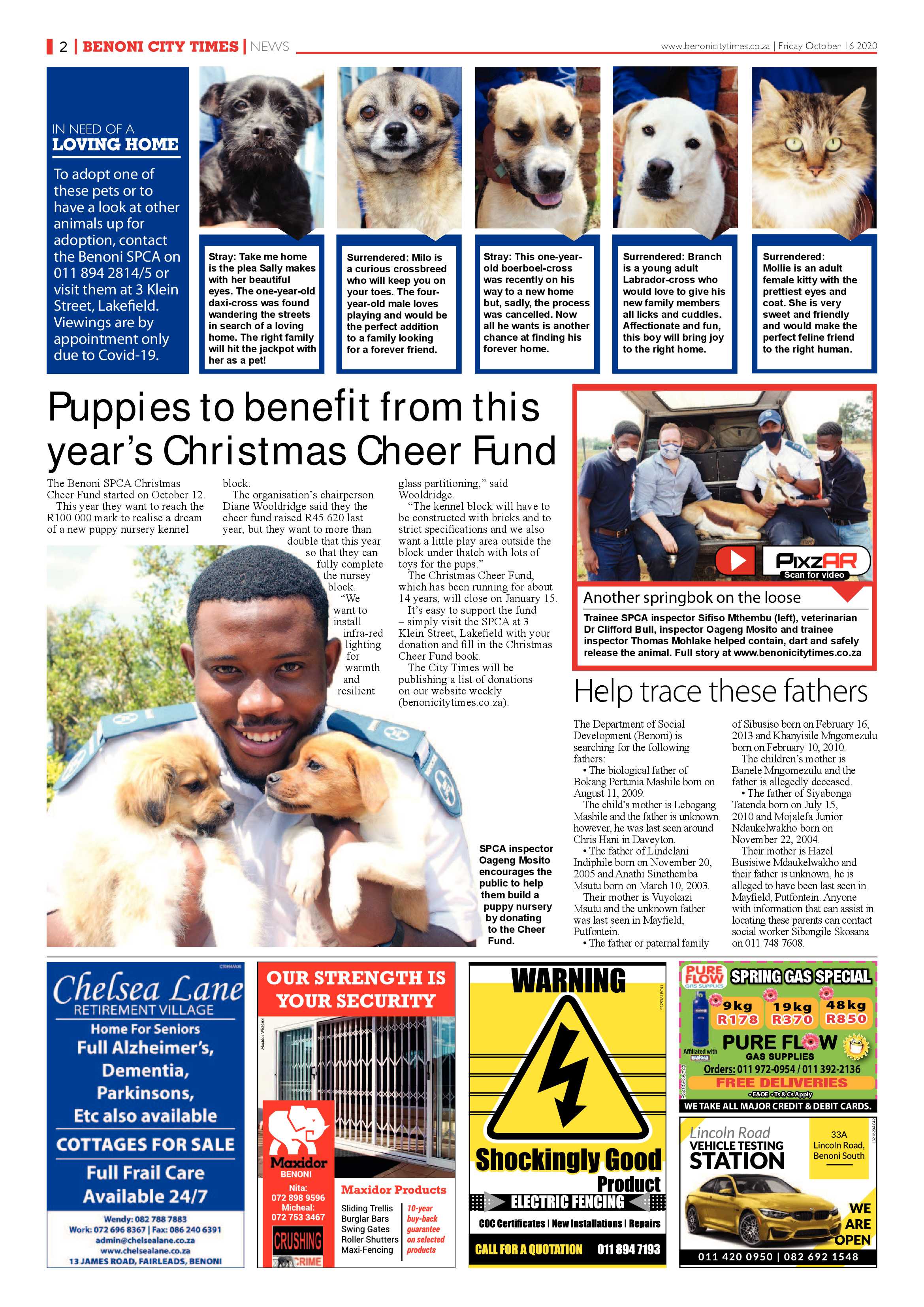 Benoni City Times 15  October 2020 page 2