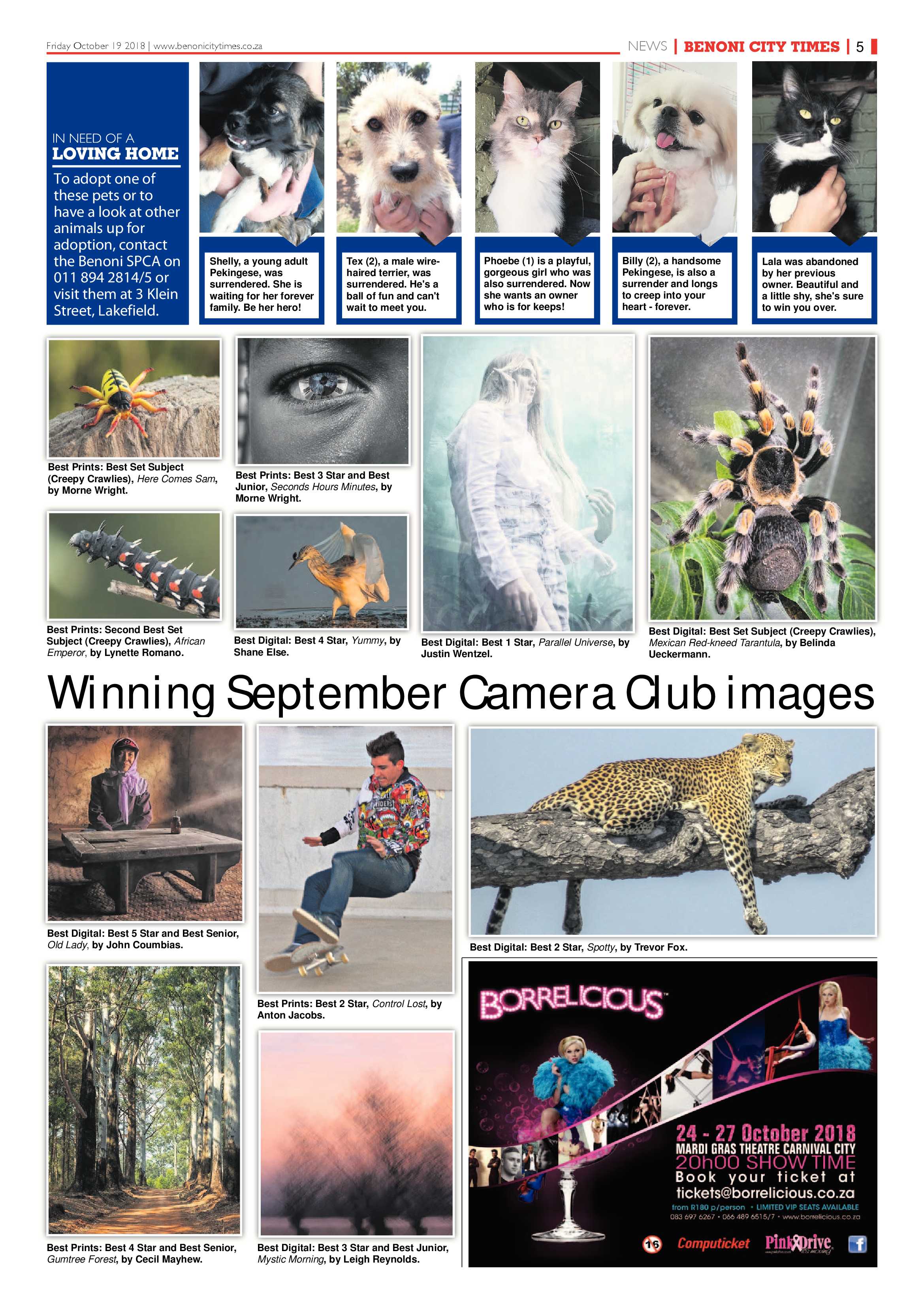 Benoni City Times 18 October 2018 page 5