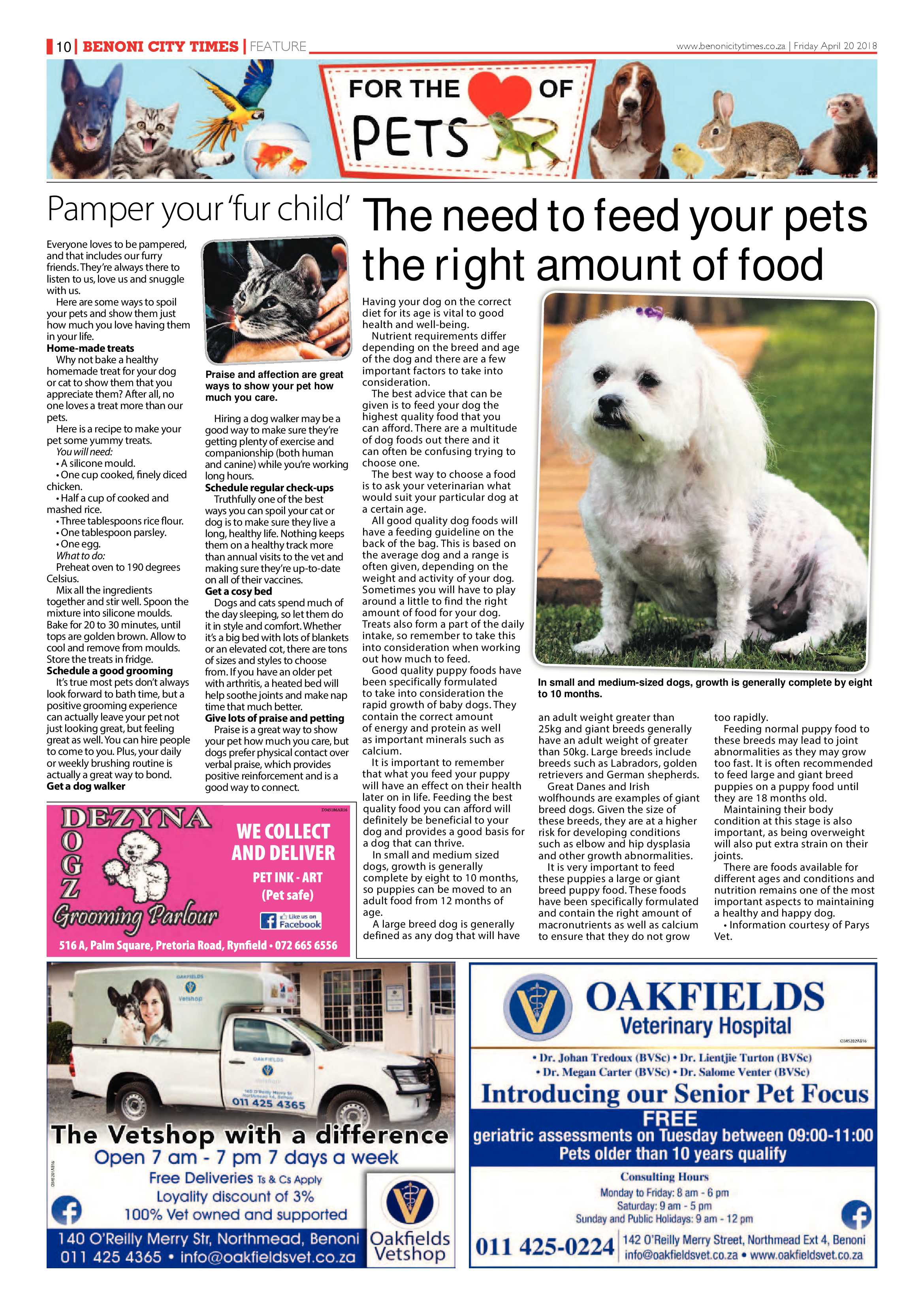 Benoni City Times 19 April 2018 page 10
