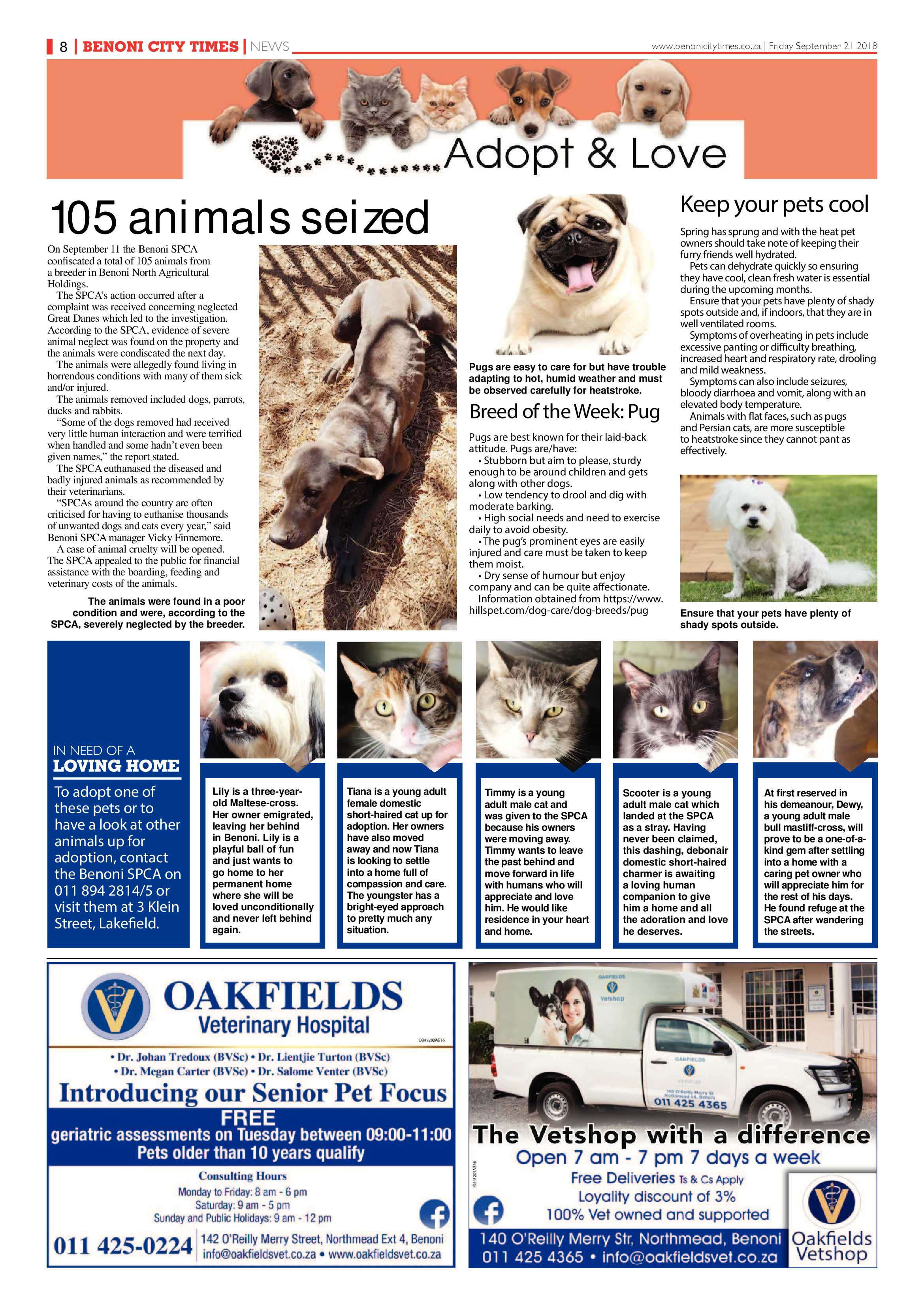 Benoni City Times 20 September 2018 page 8