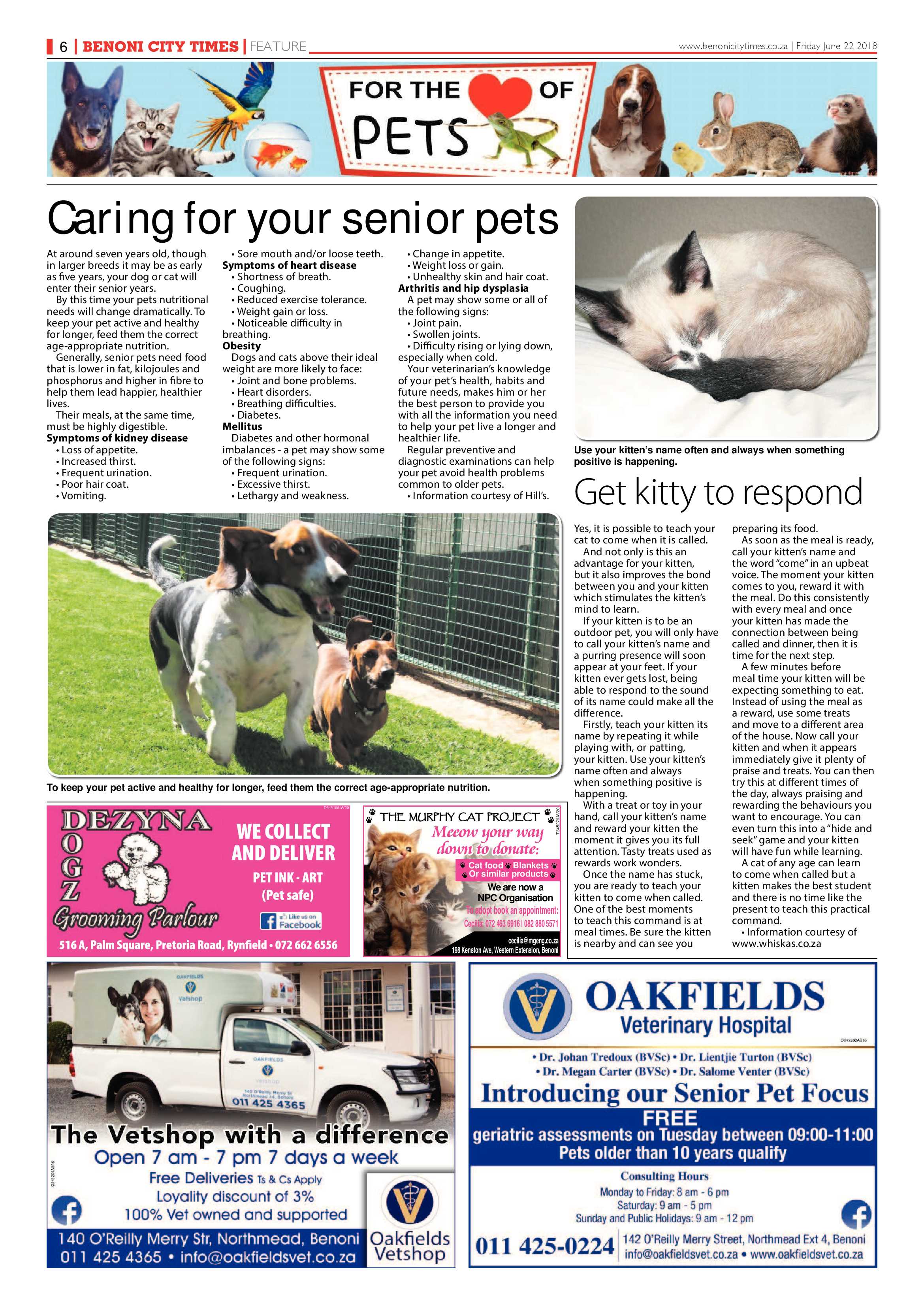 Benoni City Times 21 June 2018 page 6