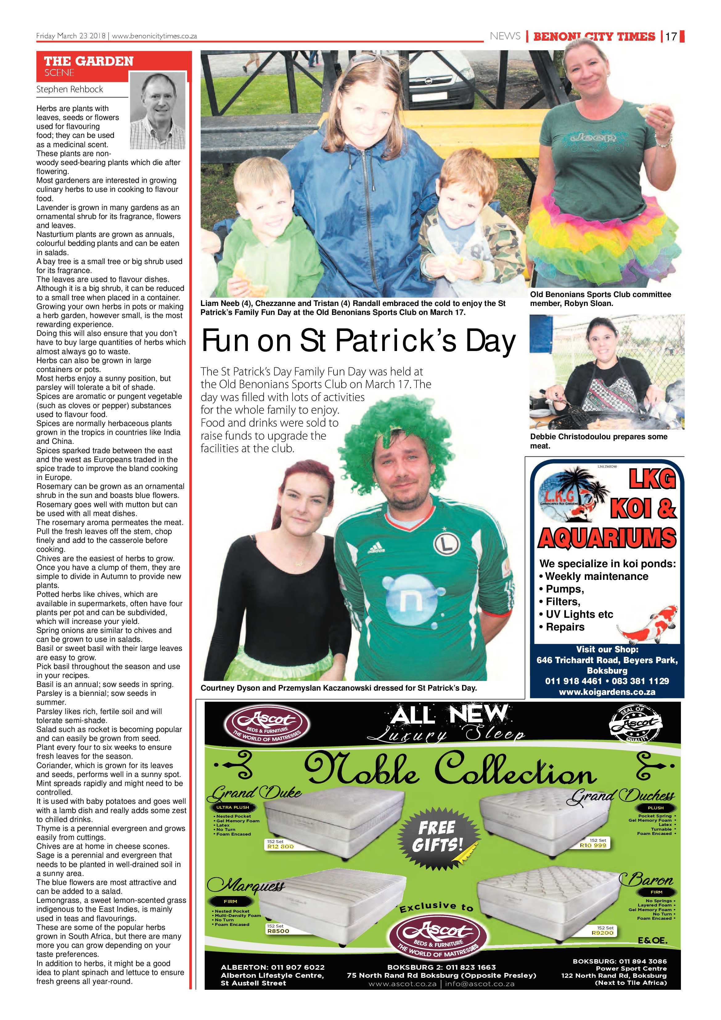 Benoni City Times 22 March 2018 page 17