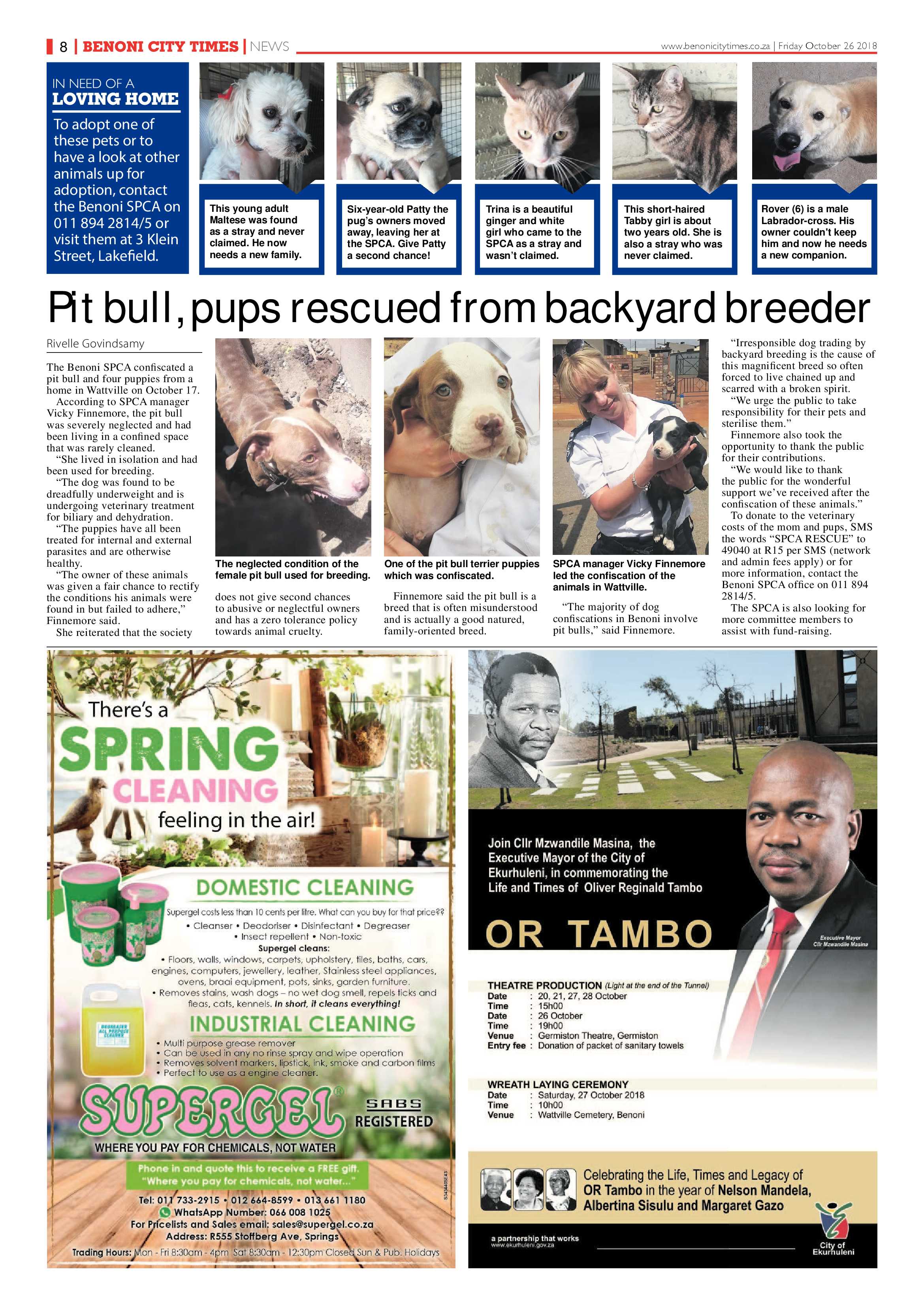 Benoni City Times 25 October 2018 page 8