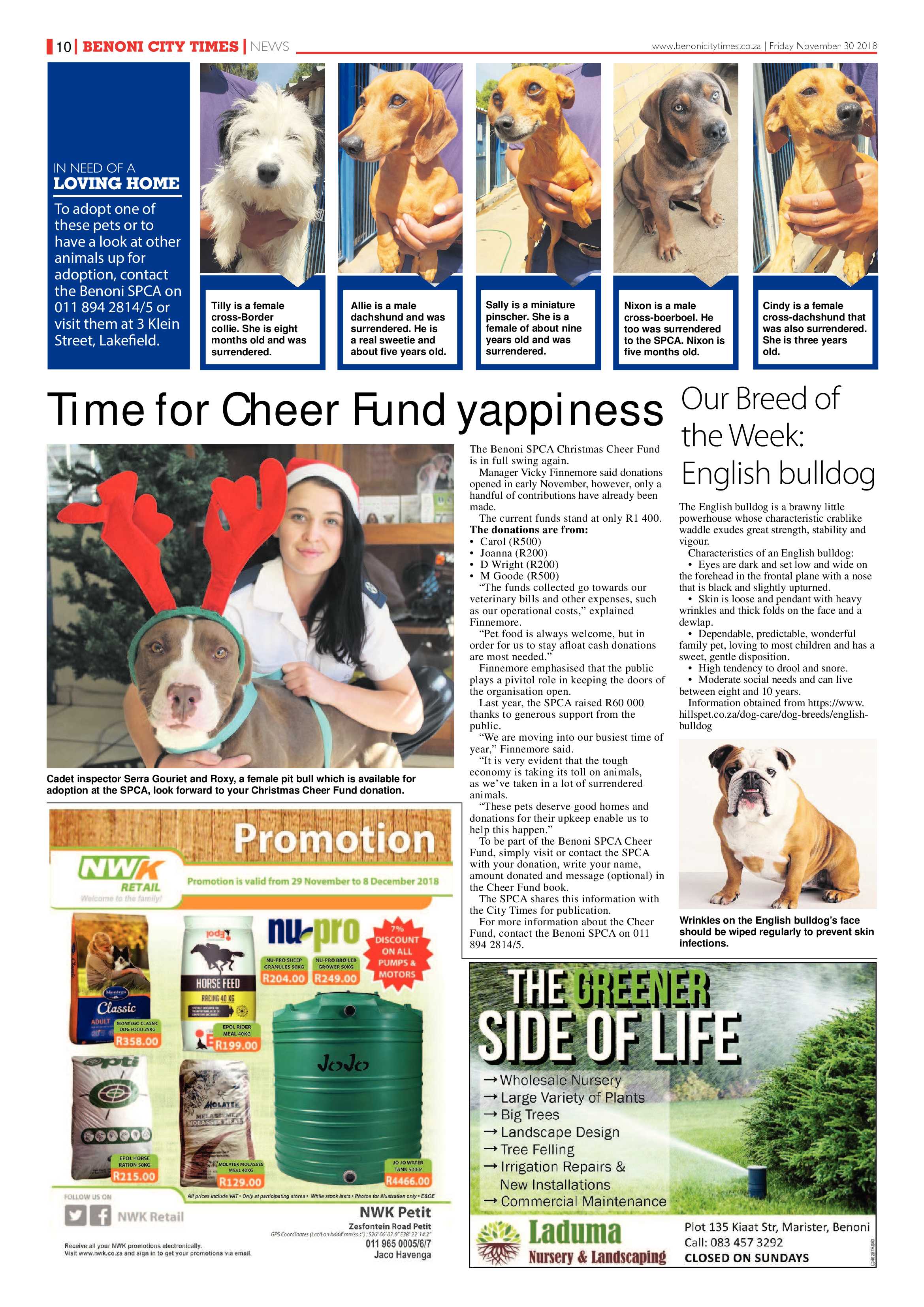Benoni City Times 29 November 2018 page 10
