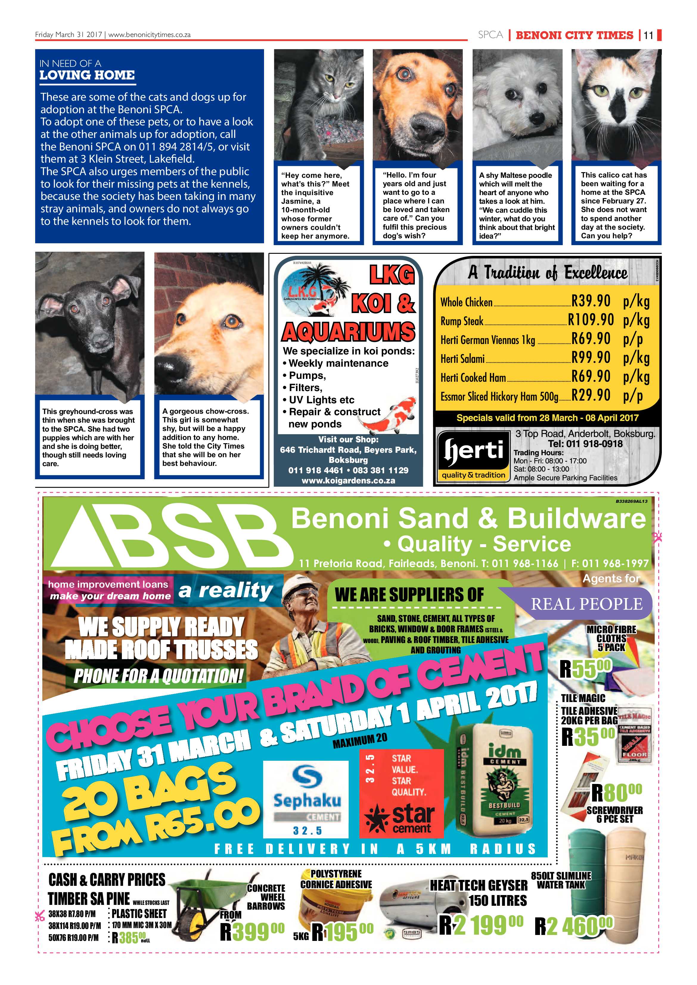 Benoni City Times 30 March 2017 page 11